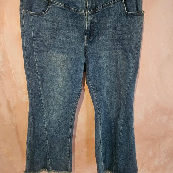 cider denim high rise wide leg raw hem 3XL - Picture 1 of 2